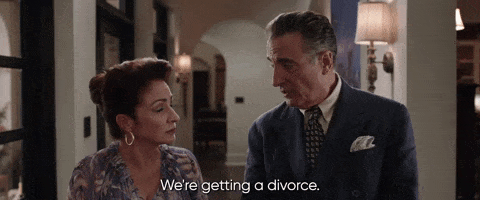 Father Of The Bride GIF by HBO Max