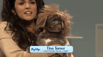 tina turner snl GIF by Saturday Night Live