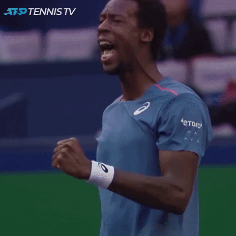 france fight GIF by Tennis TV