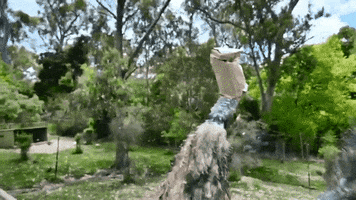Paper Bag Treat GIF by Storyful