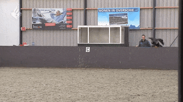 andriybrodetskyi  GIF