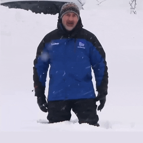 TV gif. Jim Cantore from The Weather Channel is standing in thigh high snow. It's actively snowing and he yells, "I've had it!" before falling backwards into the fresh, powdery snow and disappearing from view. 