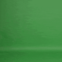 photo Petting Hand Green Screen Gif hand greenscreen gif by lauryn siegel