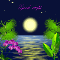 Good Night Illustration GIF