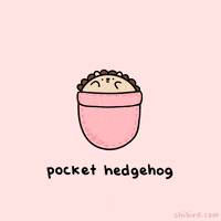 Hedgehog Hug GIF by Chibird
