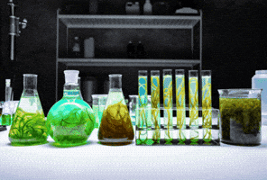 Michael Van Eaton Career GIF