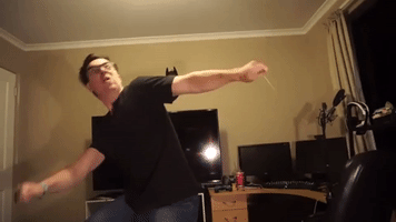 Harry Potter Wands GIF