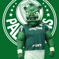 fight vai encarar GIF by SE Palmeiras