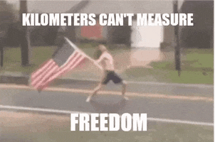 Usa GIF