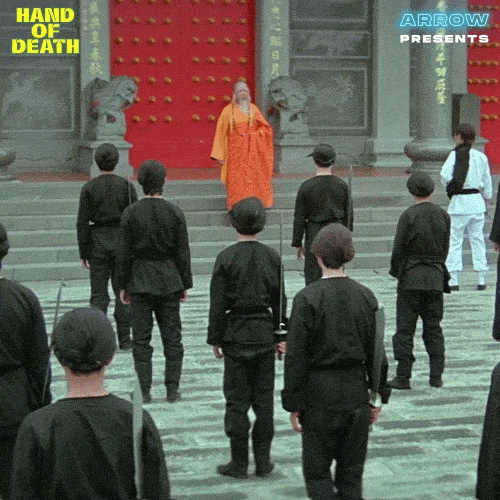 Bow Down Martial Arts GIF by Arrow Video