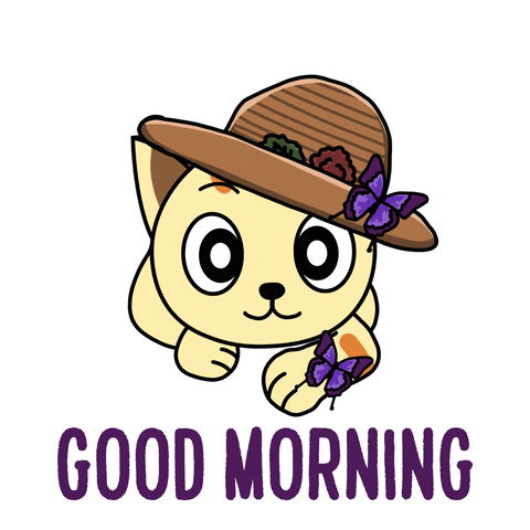 Good Morning Kitty GIF by My Girly Unicorn