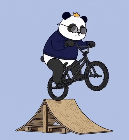 Panda Bmx GIF by Pandu Pandas