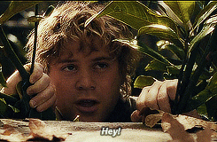 i am actually crying the lord of the rings GIF