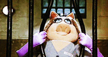 The Muppets GIF