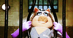 The Muppets GIF