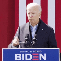 Election 2020 Thank You GIF by Joe Biden