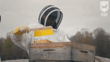Honey Bees GIF by BrewDog