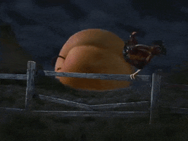 Tim Burton GIF