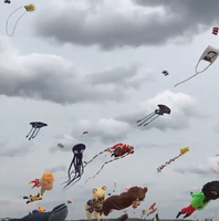 Kites Drift in the Skies Above Drachenfest
