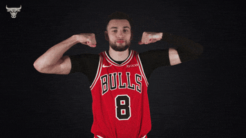 Zach Lavine Yes GIF by Chicago Bulls