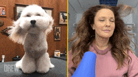 Bad-hair-day-to-good-hair-day GIFs - Get the best GIF on GIPHY