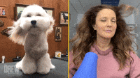 Bad-hair-day-to-good-hair-day GIFs - Get the best GIF on GIPHY Bad-hair-day-to-good-hair-day GIFs - Get the best GIF on GIPHY