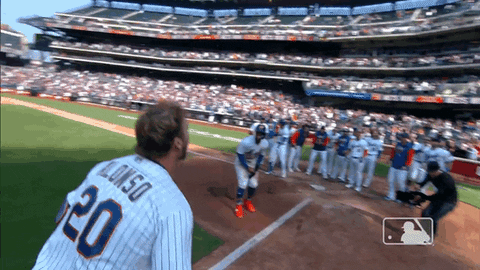 Mets Yankees GIF - Mets Yankees Vs - Discover & Share GIFs