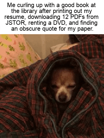 Meme gif. Little Chihuahua snuggles inside a plaid comforter, only its little face visible. Text, "Me curling up with a good book at the library after printing out my resume, downloading twelve P-D-Fs from J-S-T-O-R, renting a D-V-D, and finding an obscure quote for my paper."