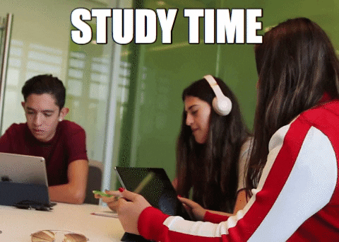 Grupo de amigos estudando e mantendo uma rotina de estudos
