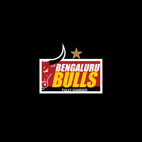 Kabaddi Karnataka GIF by Bengaluru Bulls