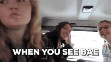 alexlilly capeparty caparty melanie knopp GIF