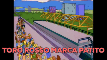 df1racing2beta toro rosso GIF