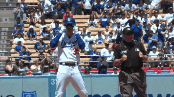 Los Angeles Sport GIF by MLB