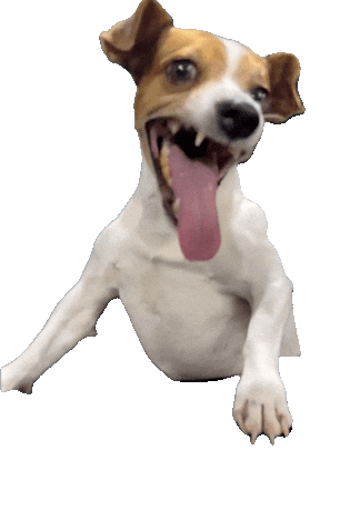 Dog Laughing Sticker