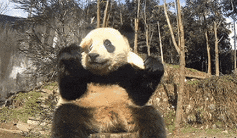 corumwatches panda bubble corum corumwatches GIF