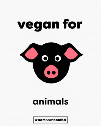 vegan GIF by Nomba Candies