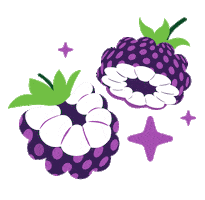 Blackberry Sticker by drinkwildwonder