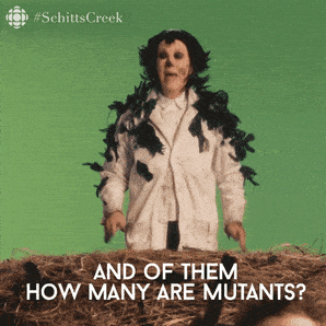 schitts creek comedy GIF by CBC