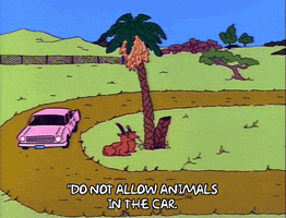 Driving Season 2 GIF by The Simpsons