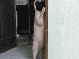soulless  GIF