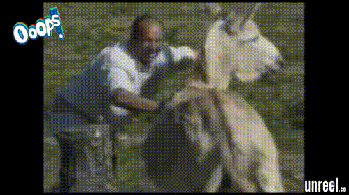 funniest home videos laughing GIF by Unreel Entertainment