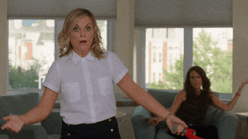 Amy Poehler What GIF by Sisters