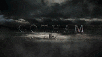 gotham tv show GIF by Gotham