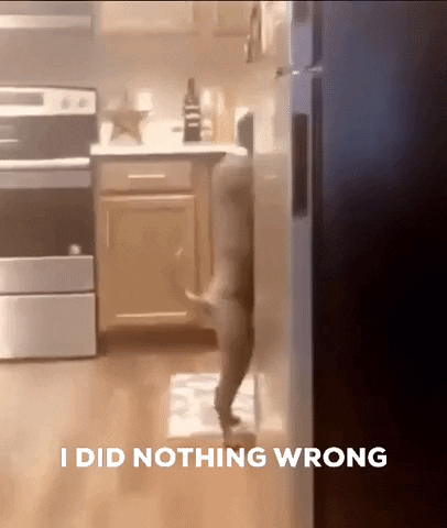 Me No GIF