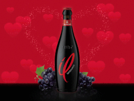 GIF by Carvon Media GmbH / Reklame-FX®