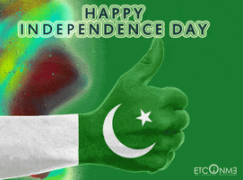 alishbahathar pakistan independence day GIF