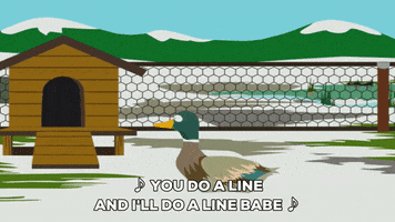 duck dancing GIF by South Park 