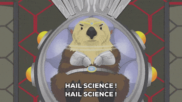 sea otter speech GIF by South Park 