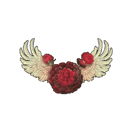 Faena Sticker