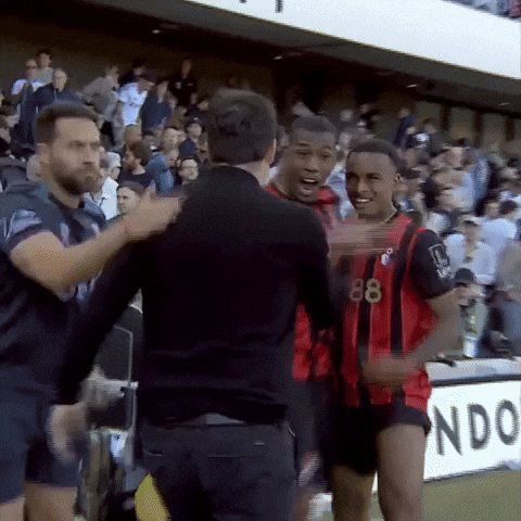 Happy Premier League GIF by AFC Bournemouth